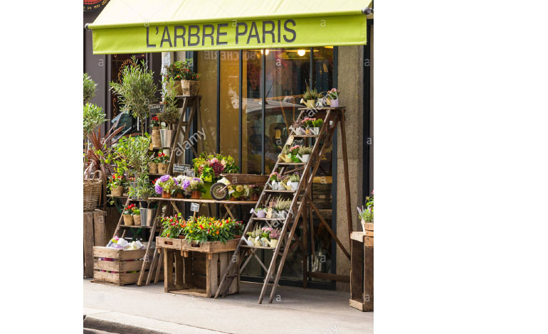 Larbre-paris-fleuriste-nanaki Larbre-paris-fleuriste-nanaki