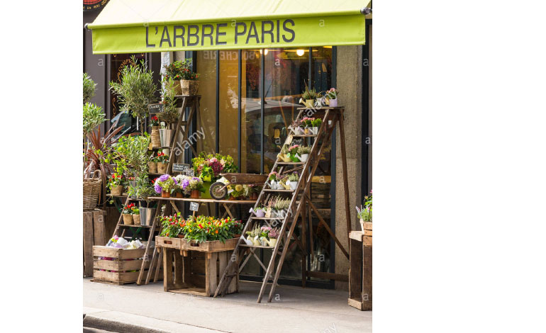 Larbre-paris-fleuriste-nanaki