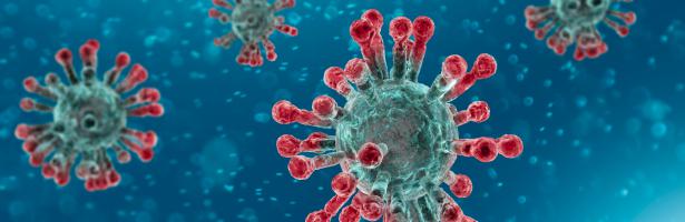 News about the Coronavirus